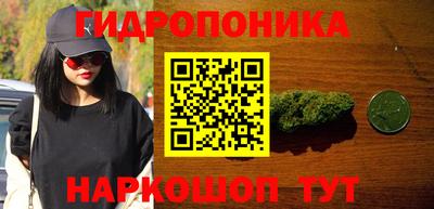 прущие грибы Кимры